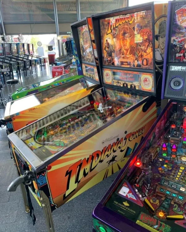 Indiana Jones Pinball Machine (1993) by Williams - Image 2